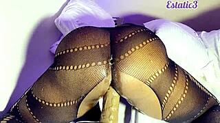 Horny Cutie Ass Up Dildo Fucks Big Ass Lingerie