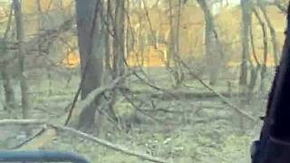 who knew cheerleaders ditch pom-poms for wild parties?