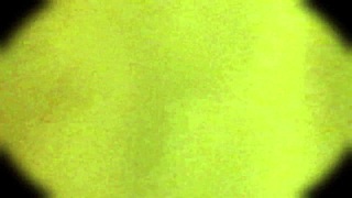 wanna spy this sexy argentine college girl's bare upskirt pussy miranda?