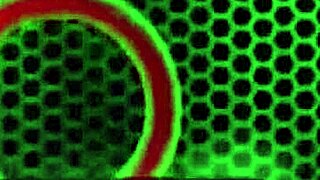 Busty Hailey Rose licked fucked by Rome Major