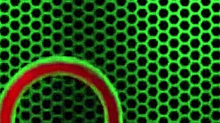 tears of joy as Scott Rhodes sybians Maxine then blasts her face with cum