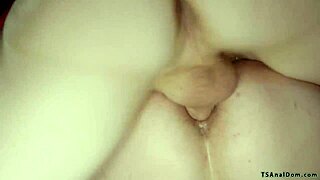 Shemale Dommes Pound Men's Asses in Hardcore Anal Domination Sessions