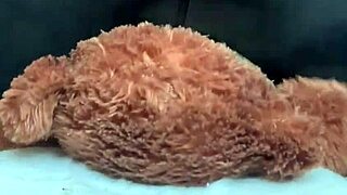 jeans grind hides her secret facesitting thrill on mr bear