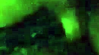 your ebony girlfriend crave big black cock doggystyle pounding?