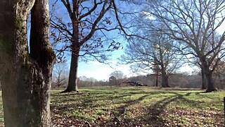 Clitlicker662 flashes and orgasms wildly in forest update! 🌳💦