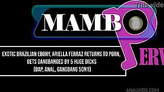 exotic brazilian ebony ariella ferraz takes 5 monster cocks dap gangbang