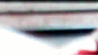 Glamorous Babes Suck Cock In Outdoor Orgy Frenzy