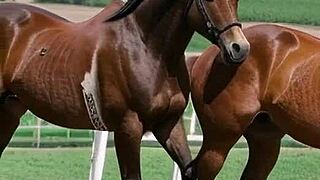 Blonde Cougar Rides in Leather Boots Outdoor Cumshot