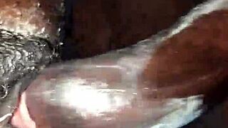 wanna see me pound stepmom's pussy then wreck her asshole bareback?
