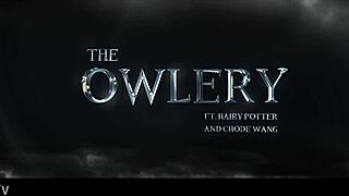 chode wang dominates bound teen in gobbywarts owlery bdsm submission fantasy