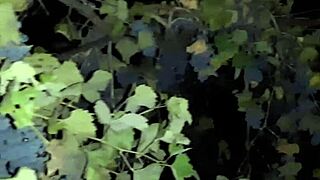 i picked up this hairy pussy stranger from the club and we fucked all wet and wild at home