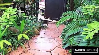 caged kitty with big ass and pussy takes bbc doggystyle hardcore
