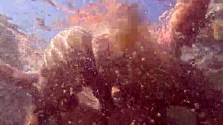 steamy underwater play with busty milf by the pool