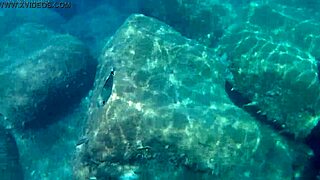 Fish Gulps Down Thick Cum Load In Liquid Lunch Feast