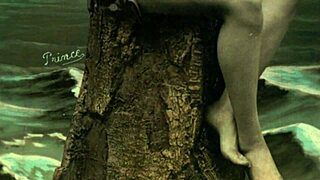 vintage erotic art collection