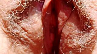 Mature Mom's Hairy Gaping Pussy Lips Spread Wide Close-Up View