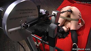 imagine this babe piledriver-style riding that machine dildo till she squirts everywhere.