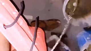 Micro Penis Sissy Pisses in Public Toilets and Dorms