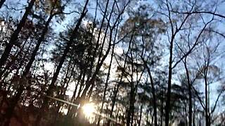 omg clitlicker662 flashes pussy outdoors then licks to orgasm in forest 🍑💦