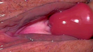 Amateur Wife's Pink Pussy Tingles with Joy 343 Days After Virginity Loss