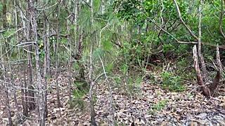 i gave a brazilian latina amateur blowjob to boy on tree trunk