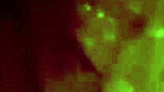 Anal plug-lek blir vild i denna våta gapande kompilering. Vi älskar att sträcka gränser!