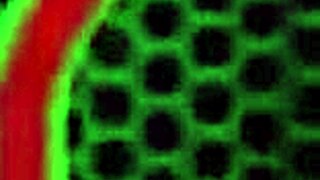 Horny Vicky Vette gnir sin våte fitte og viser solstriper i dusjen.