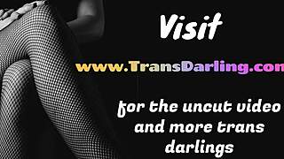 היי, רוצים לראות טייגירלס לטיניות עם שדיים גדולים בלי קונדום בשלישייה?