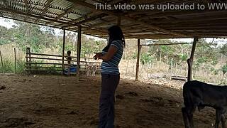 Hei, leski äitipuoli, haluatko käydä tilalla ja ratsastaa minua sen sijaan?