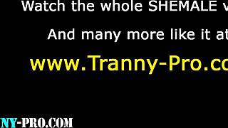 Fetish pro tranny med briller onanerer i vill samling