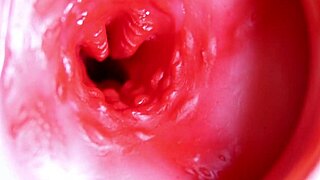 那根大红鸡巴插进我湿穴里，随便射精