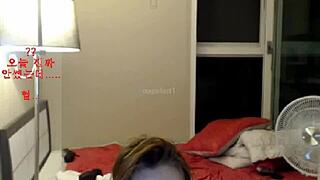 한국 베이글 수 스트립티즈로 유혹